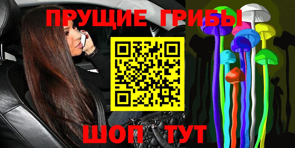 Псилоцибиновые грибы GOLDEN TEACHER  Вход с VPN  Тюмень  как найти наркотики  Галлюциногенные грибы GOLDEN TEACHER 