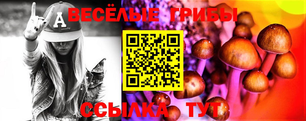 Псилоцибиновые грибы ЛСД Тюмень